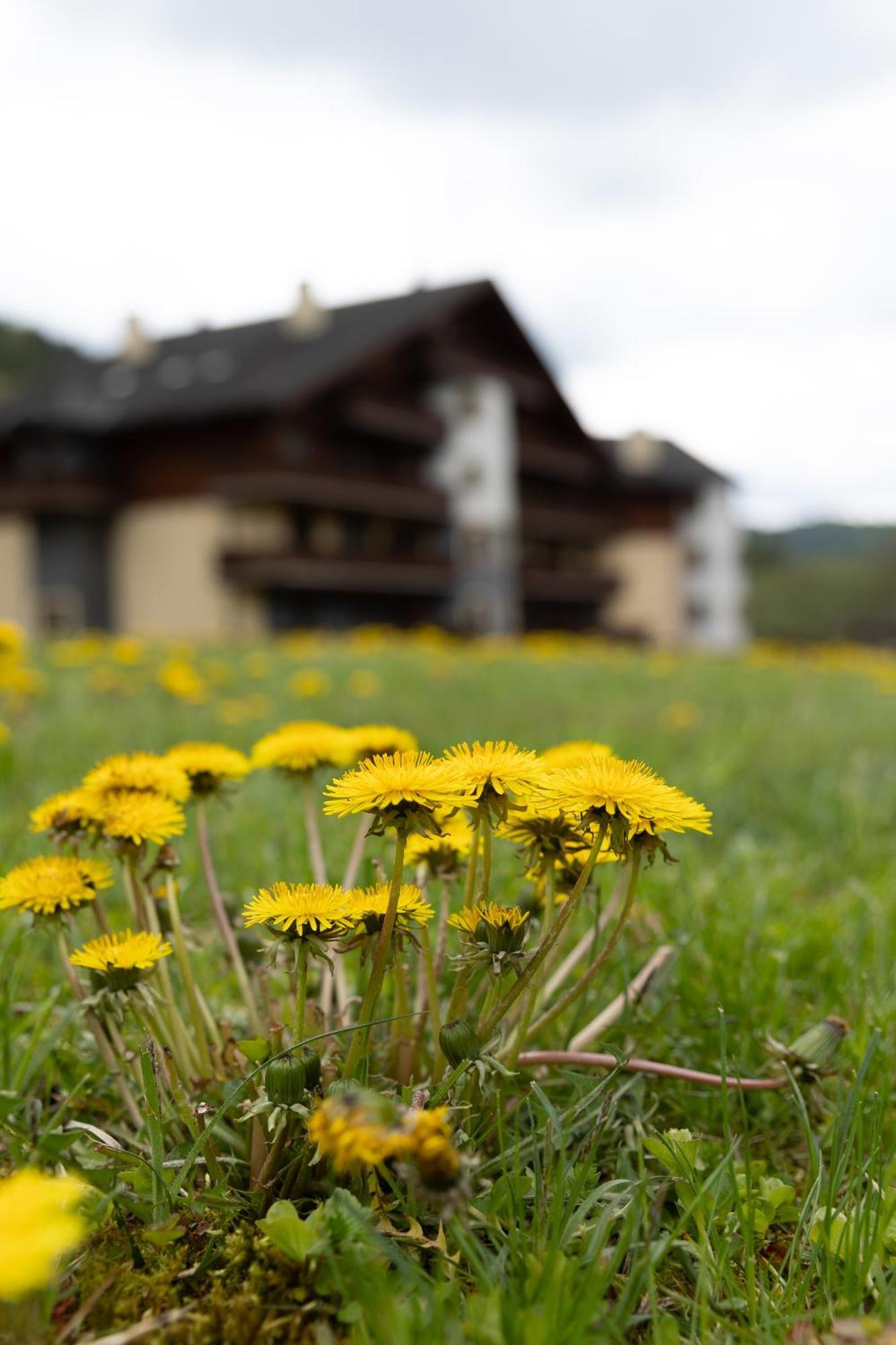 Rodinny Apartman Slnecnica Tále Exteriér fotografie